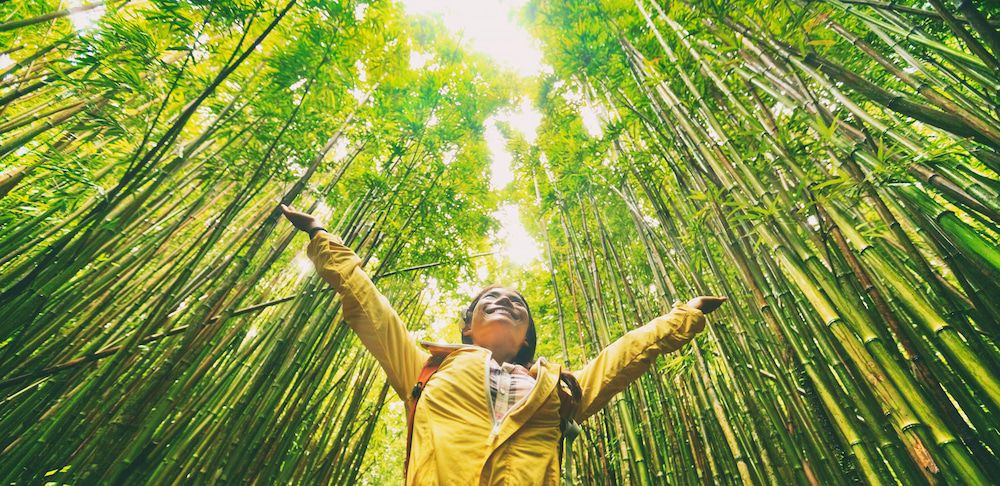 Best Online MBA in Sustainability Programs for 2025